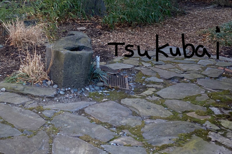 The Tsukubai is the inspiration for this garden