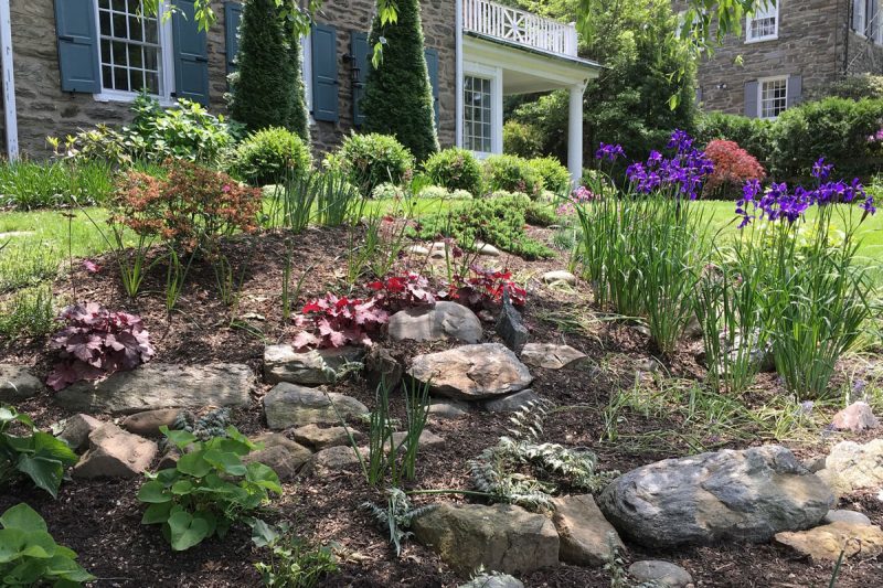 Ornamental stone adds variety to planting