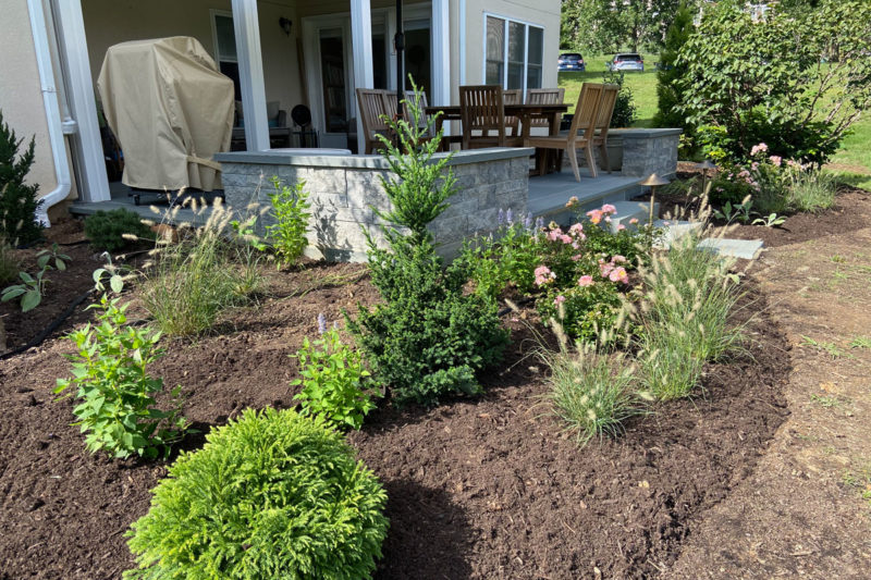 Backyard patio garden - first planting