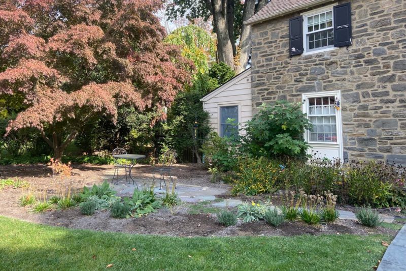 Patio Garden Oct 2022